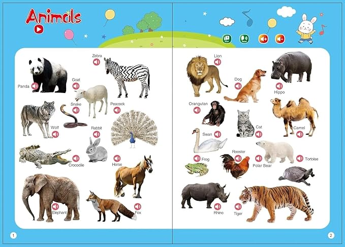 كتاب إنجليزي للأطفال